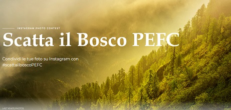 Il Pefc lancia su Instagram un concorso dedicato al patrimonio forestale