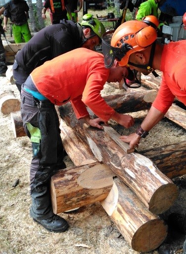 Tecniche di costruzione in legno: attività formativa per 10 operatori del settore