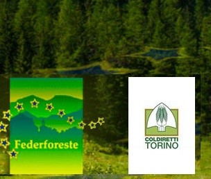 Federforeste-Coldiretti Torino, Convegno: “Testo Unico Forestale: opportunità per le imprese”