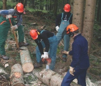 VENETO - Corso di formazione per Istruttori Forestali