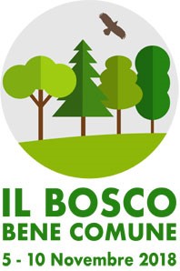 A Torino, una settimana dedicata alle foreste