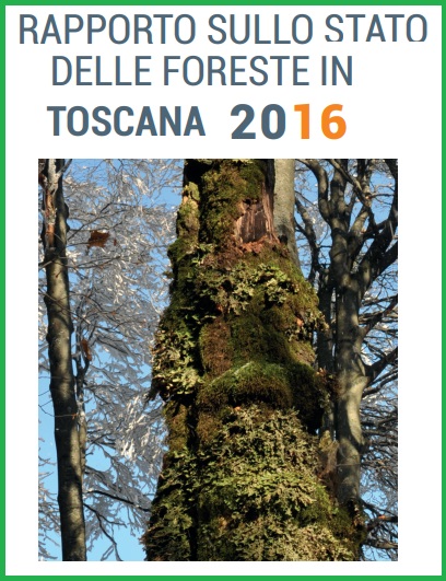 Rapporto sullo stato delle foreste in Toscana, la  regione a più ampia superficie boscata in Italia