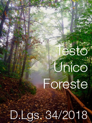 Pubblicato il Testo unico in materia di foreste e filiere forestali