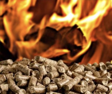 Il DL CRESCITA sblocca i certificati bianchi per le biomasse
