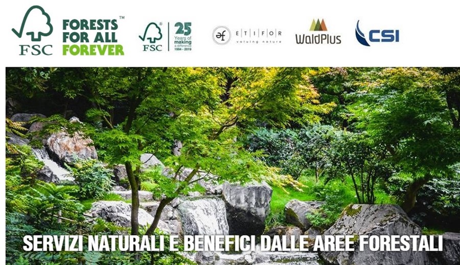 I benefici delle foreste certificati per la prima volta al mondo in Italia