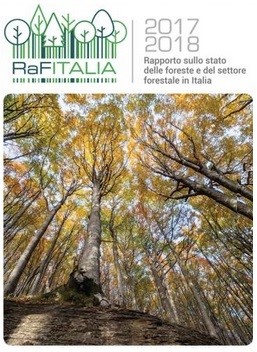 Rapporto sullo stato delle foreste e del settore forestale in Italia 2017-2018