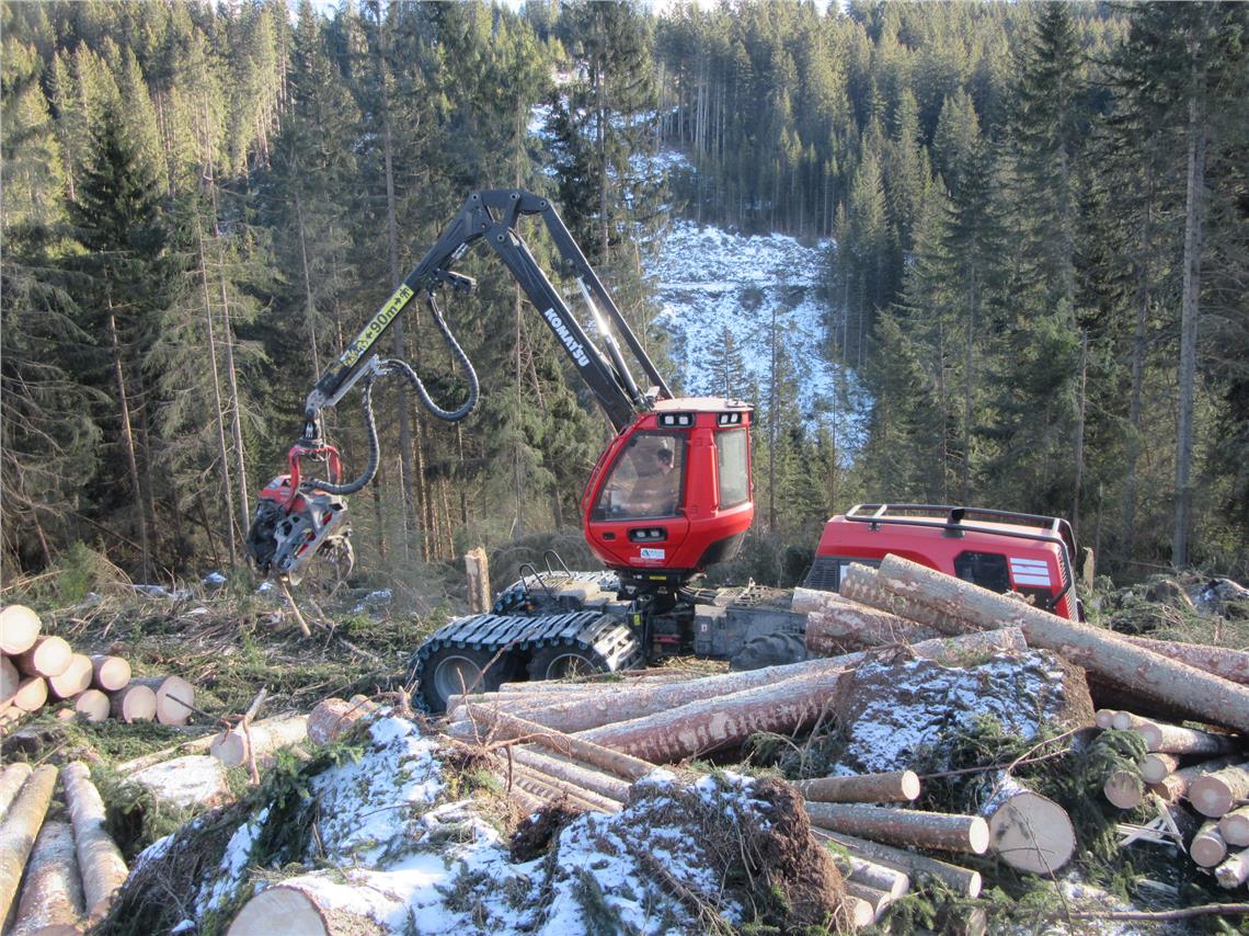 AltoAdige-Tempesta Vaia, via alle domande per i contributi rimozione legname: 12 milioni di euro il plafond